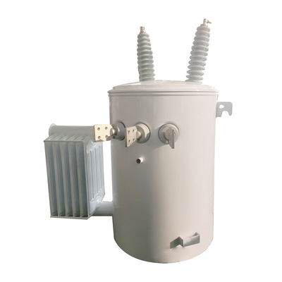 Distribuzione del trasformatore monofase 100KVA montato su palo 13,8Kv